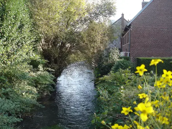 Occasion Monte Escalier Monte-escalier Déville-lès-Rouen