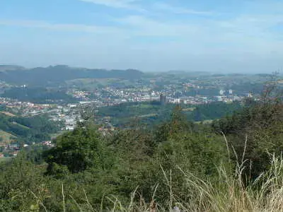 Occasion Monte Escalier Monte-escalier Firminy