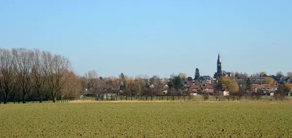 Occasion Monte Escalier Monte-escalier Halluin