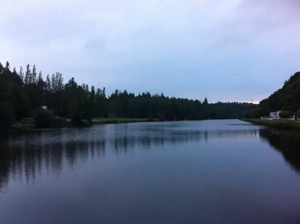 Occasion Monte Escalier Monte-escalier Inzinzac-Lochrist