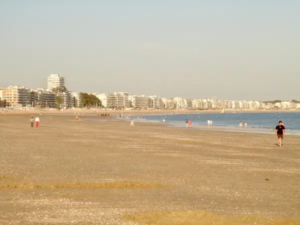 Occasion Monte Escalier Monte-escalier La Baule-Escoublac