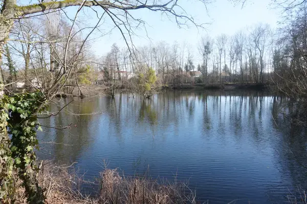 Occasion Monte Escalier Monte-escalier La Chapelle-Saint-Luc