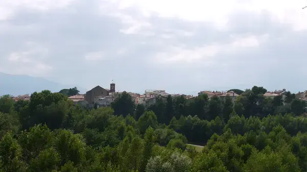 Occasion Monte Escalier Monte-escalier Le Boulou