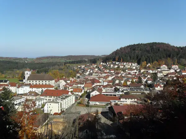 Occasion Monte Escalier Monte-escalier Maîche