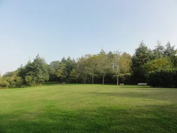 Occasion Monte Escalier Monte-escalier Montigny-en-Gohelle