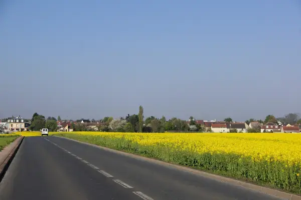 Occasion Monte Escalier Monte-escalier Noiseau