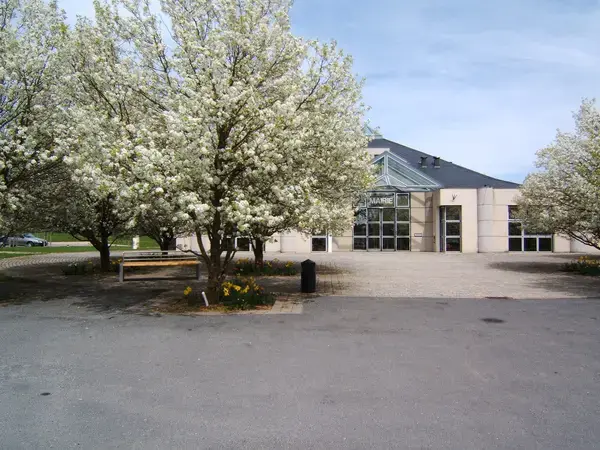 Occasion Monte Escalier Monte-escalier Olemps