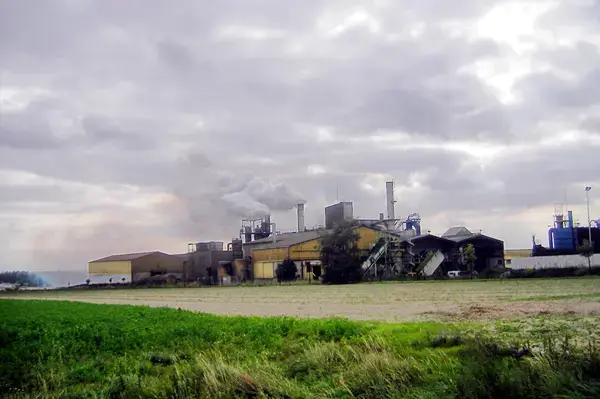 Occasion Monte Escalier Monte-escalier Ormes