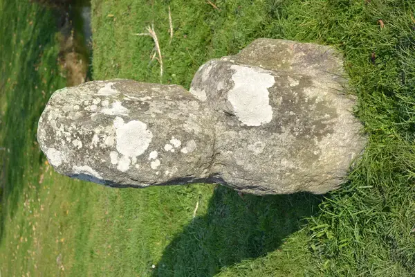 Occasion Monte Escalier Monte-escalier Prinquiau