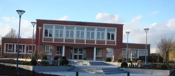 Occasion Monte Escalier Monte-escalier Roost-Warendin