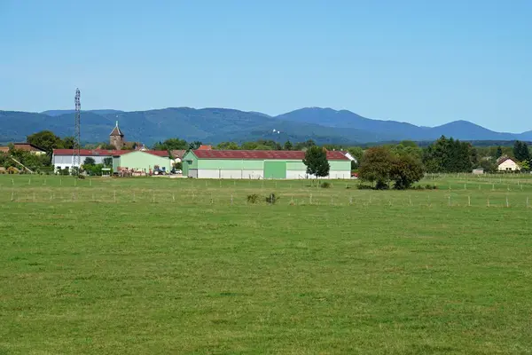 Occasion Monte Escalier Monte-escalier Roye