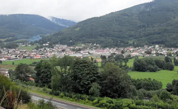 Occasion Monte Escalier Monte-escalier Rupt-sur-Moselle