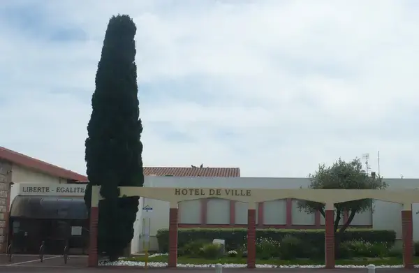 Occasion Monte Escalier Monte-escalier Saleilles