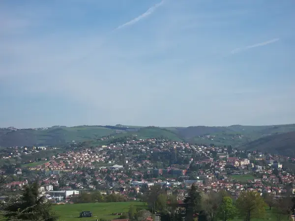 Occasion Monte Escalier Monte-escalier Sorbiers