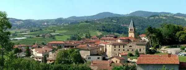 Occasion Monte Escalier Monte-escalier Thurins