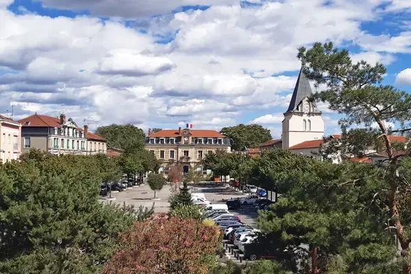 Occasion Monte Escalier Monte-escalier Vénissieux
