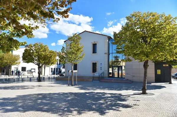 Occasion Monte Escalier Monte-escalier Vic-la-Gardiole