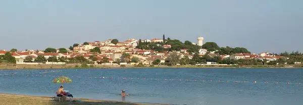 Occasion Monte Escalier Monte-escalier Villeneuve-de-la-Raho
