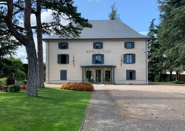 Occasion Monte Escalier Monte-escalier Villette-d'Anthon